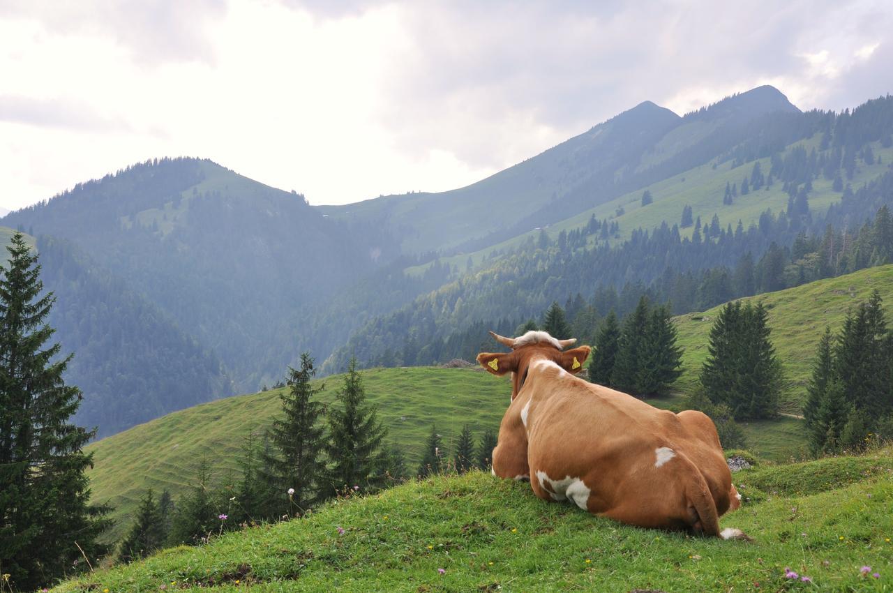 Hotel Keindl Oberaudorf Kültér fotó